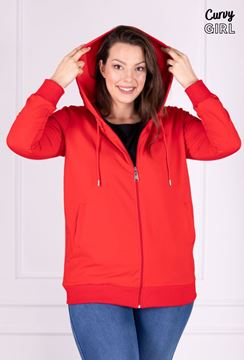 Picture of PLUS SIZE HOODIE